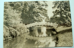 Wörlitz Weiße Brücke - Wörlitz