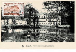 CARTE MAXIMUM  LUXEMBOURG FONDATION EMILE MAYRISCH - Maximum Cards