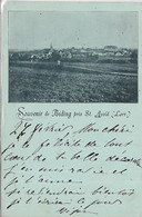 57, Moselle, BIDING, Souvenir, Scan Recto Verso - Autres Communes