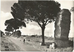 W5984 Roma - Via Appia Antica - Panorama / Viaggiata 1956 - Panoramic Views