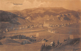 M011598" ESCHOLZMATT " PANORAMA-VERA FOTO CART  SPED 1911 - Escholzmatt