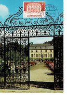 CARTE MAXIMUM  LUXEMBOURG ORANGERIE D'ECHTERNACH 1985 - Cartes Maximum