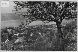 Männedorf - Generalansicht Im Frühling - Dorf