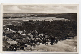 DC4095 - Ak Buckow (Märkische Schweiz), Hotel Weisse Taube - Buckow