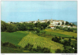 Carte Postale 81. Castelnau-de-Montmiral   Trés Beau Plan - Castelnau De Montmirail