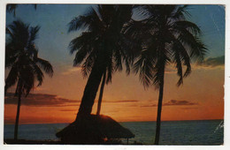 Nouvelle-Calédonie : Coucher De Soleil à Ouvéa ( C.P.S.M.) - New Caledonia