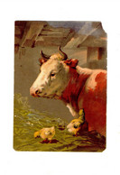 ANCIEN AUTHENTIQUE CHROMO DÉCOUPI - VACHE POUSSINS ANIMAUX FERME - 12 X 8 Cm - Fleurs