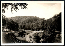 B1242 - Kindererholungsheim Schloß Rauenstein Bei Lengefeld Flöhatal - Heimat Verlag Lengefeld - Photo Handdruck - Lengefeld