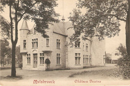 Melsbroeck / Melchbroek : Château Dereine - Steenokkerzeel