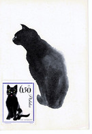 CARTE MAXIMUM  POLOGNE CHIENS ET CHATS CATS AND DOGS - Cartes Maximum