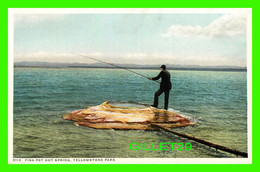 YELLOWSTONE, WY - FISH POT HOT SPRINGS - ANIMATED WITH PEOPLE  - YELLOWSTONE PARK - PHOSTINT - - Yellowstone