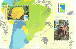 ARGENTINA 2013 FLOWERS FAUNA MAPS SOUVENIR SHEET BRASILIANA 2013 EXHIBITION MNH - Unused Stamps