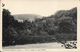 CARTE LIFFOL-LE-GRAND BOIS LE COMTE VU DES VERGERES - 88 VOSGES - Liffol Le Grand