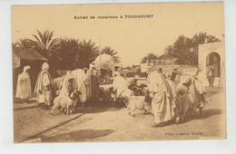 AFRIQUE - ALGERIE - TOUGGOURT - Achat De Moutons - Other Cities