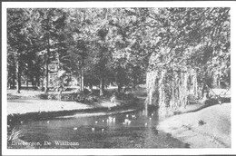 Nederland Holland Pays Bas Driebergen Met Wildbaan - Driebergen – Rijsenburg