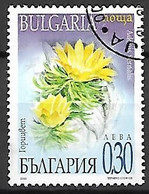 BULGARIE   -  2000 .  Y&T N° 3893 Oblitéré.   Fleurs  /  Adonis - Usados