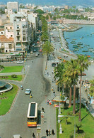 ~ Ceuta - Paseo De Las Palmeras - Ceuta