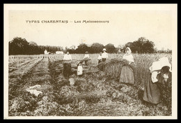 CPM - Types Charentais - Les Moissonneurs - Moisson - Vendange - Edit. GENET - Collection Michel ROUDIER - 1983 - Poitou-Charentes