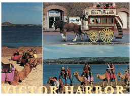 (W 3) Australia - SA - Victor Harbour - Victor Harbor