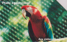 Télécarte POLOGNE - ANIMAL / Série ZOO 2/10 - OISEAU - PERROQUET ARA MACAO - PARROT BIRD POLAND Phonecard - 5268 - Papegaaien & Parkieten