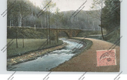 0-8210 FREITAL, Weisseritz Idyllen, 1906 - Freital