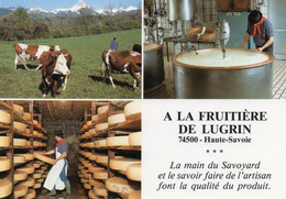 A La Fruitière De LUGRIN  -  La Main Du Savoyard... - Lugrin