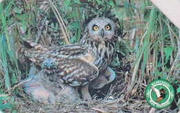 TC POLOGNE - ANIMAL / Série Bierbrzanski Park 510 - OISEAU HIBOU DES MARAIS - OWL BIRD & Chicken POLAND Pc - BE 5288 - Hiboux & Chouettes