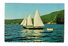 BAY OF ISLANDS, Newfoundland, Canada, Sailboat, Old 4X6 Chrome Postcard - Altri & Non Classificati