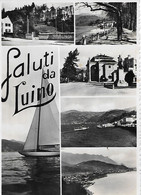 Saluti Da LUINO 1954 - Luino