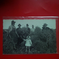 CARTE PHOTO TREVOUX ? PAYSAN RECOLTE MOISSON - Trévoux