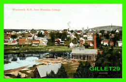 WOODSTOCK, NB - VIEW OF THE CITY FROM MOUNTAIN COTTAGE - TRAVEL IN 1908 - THE VALENTINE & SONS PUB - - St. John