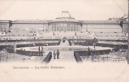 Bruxelles - Le Jardin Botanique - < 1905 ! - Bossen, Parken, Tuinen