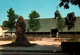 4475 Carte Postale FAOUET Monument Jean Corentin Carré Et Les Halles                 56 Morbihan - Faouët