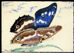 Cpa Pochoir Illustrateur André Stéfan Les Papillons De France - Le  Grand Mars   NOV20-17 - Papillons