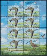 ** 2011 Az év Madara Kisív, Year Of The Bird Mini Sheet Mi 849 - Altri & Non Classificati