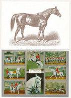 **, * 12 Db MODERN Motívum Képeslap: Ló / 12 Modern Motive Postcards: Horse - Sin Clasificación