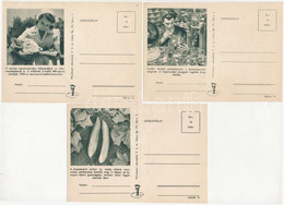 * 3 Db MODERN Magyar Kommunista Propaganda Képeslap / 3 Modern Hungarian Communist Propaganda Postcards - Sin Clasificación