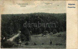 T4 1914 Anina, Stájerlakanina, Stájerlak, Steierdorf; Ploppa-völgy, Vasútvonal. Felvette és Kiadja Hollschütz / Valley,  - Non Classificati