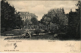 T4 1903 Arad, Salacz Park. Bloch H. Kiadása / Park (r) - Non Classificati