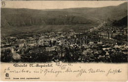 T2 1902 Boksánbánya, Németbogsán, Deutsch-Bogsan, Bocsa Montana; Látkép. Rosner Adolf Kiadása / General View - Non Classificati