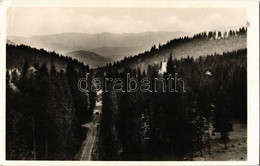 T2/T3 1941 Borszék, Borsec; Látkép, út. Fülöp Lajos Felvétele / General View, Road (EK) - Non Classificati