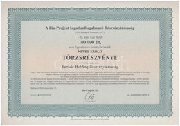 Budapest 2004. "Bia-Projekt Ingatlanforgalmazó Részvénytársaság" Törzsrészvénye 100.000Ft-ról "MINTA" Perforációval, Lyu - Ohne Zuordnung