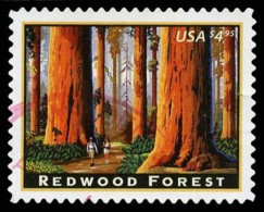 Etats-Unis / United States (Scott No.4378 - Red Wood Forest) (o) TB / VF - Otros & Sin Clasificación