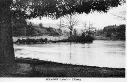 BELMONT DE LA LOIRE 42 L'Etang - Belmont De La Loire