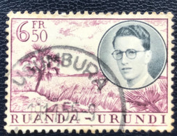 Ruanda- Urundi - P4/7 - (°)used - 1955 - Michel 155 - Koning Baudewijn En Landschappen - Usumbura - Used Stamps