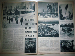 Lentetrek In De Bossen Van Canada (07.04.1955) - Andere & Zonder Classificatie