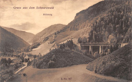 Gruss Aus Dem Schwarzwald Höllsteig - Bahn - Höllental