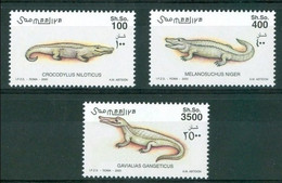 Somalia, 2000, Crocodiles, Reptiles, Animals, Fauna, MNH, Michel 839-841 - Somalie (1960-...)