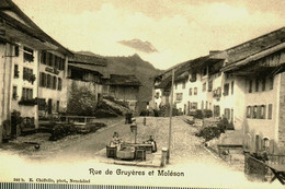 Pays Divers  / Suisse  Schweizerisch / Rue De Gruyères Et Moléson - Gruyères