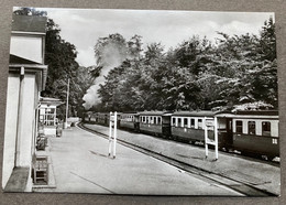 Ostseebad Heiligendamm Bahnhof Mit Bäderbahn - Heiligendamm